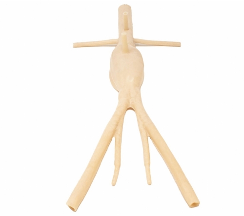 Abdominal Aortic Aneurysm Model | AAA Surgical Training Simulator